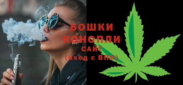 дурь Инсар