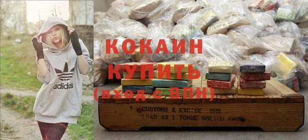 дурь Инсар