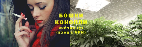 прущая мука Инта