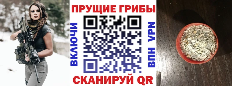 Псилоцибиновые грибы GOLDEN TEACHER  Домодедово 